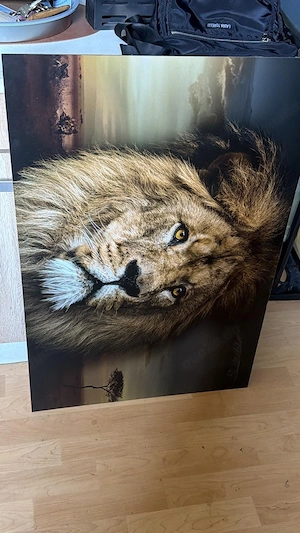 löwenposter