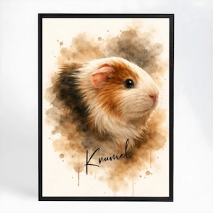 Meerschweinchen gerne auch Pärchen  Bild 2