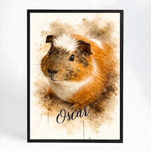 Meerschweinchen gerne auch Pärchen 