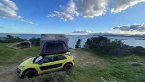 Citroen C4 Cactus Pure Tech 110 StopStart EAT6 Selection