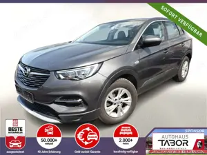 Opel Grandland X X 1.5 D 130 Innovation Nav PDC Kam eHk