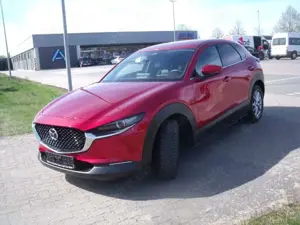 Mazda CX-30 Exclusive-Line 2WD,Zugvorrichtung abnehmbar