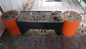 Raumtrenner Retro 70er Hydrokultur Pflanzkübel 172 x 40 Blumenkübel Pflanzkasten Raumteiler vintage