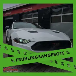 Ford Mustang Basis Fastback (Ecoboost US)