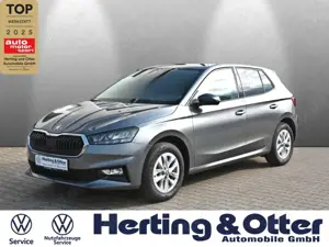 Skoda Fabia Apple CarPlay LED Klima PDC Multif.Lenkrad Spurhal