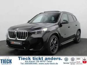 BMW X1 25 e xDrive M Sport AHK Pano Navi LED Dig. Cockpit