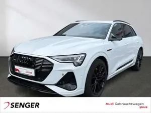 Audi e-tron S line 55 quattro Pano BO ACC AHK