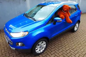 Ford EcoSport Titanium nur 4,4 Liter Verbrauch