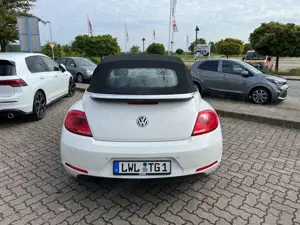 Volkswagen Beetle Bild 5