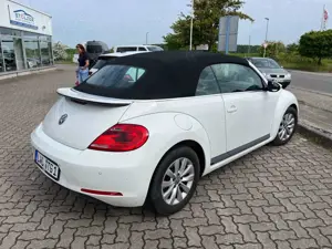 Volkswagen Beetle Bild 4