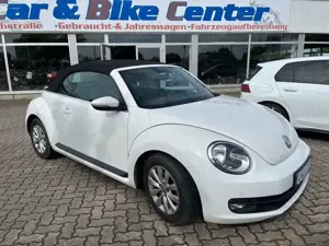 Volkswagen Beetle Bild 3