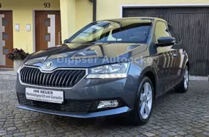 Skoda Fabia "Cool Plus"_Sitzh_Parkp. h_8 fach ber...