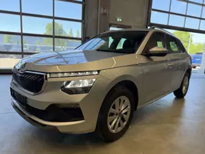 Skoda Kamiq 1,0TSI Selection Kamera PDC vo/hi HAGEL