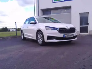 Skoda Fabia Ambition DAB+ Allwetterreifen