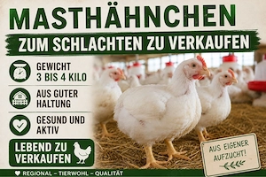    Masthähnchen aus guter Haltung zu verkaufen   
