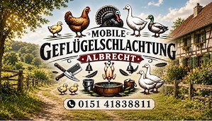 Geflügel Schlachten Enten Gänse Hühner