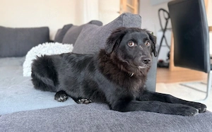 Klein Mü sucht einen Einzelplatz