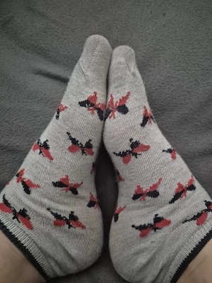getragene socken