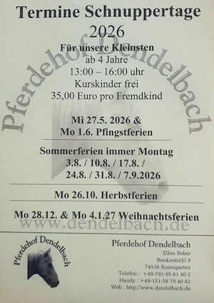 Schnuppernachmittag mit unseren Ponys in PLZ 74538