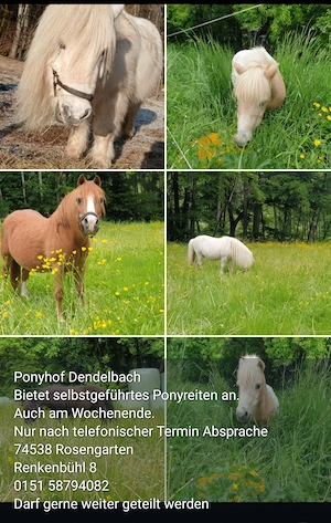 Selbstgeführtes Ponyreiten 74538 Pferdehof Dendelbach