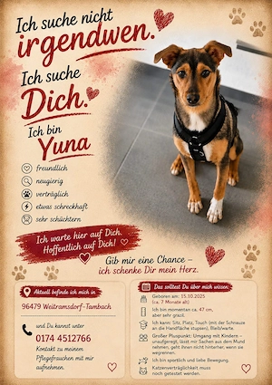 Yuna auf Pflegestelle in 96479 Weitramsdorf