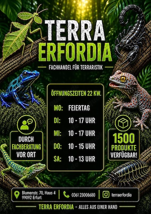 Terrarien, Zubehör, Technik, Pflanzen, Futtertiere