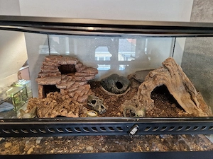 leerstehendes Exo Terra Terrarium  Bild 3