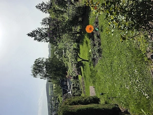Jetzt spontan im Garten 