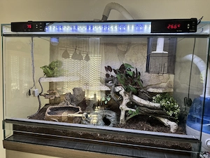 Glasterrarium 80 x 50 x 40 (BxHxT) mit Technik und Zubehör