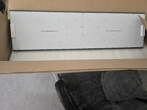 Pflanzenlampe  Bild 2