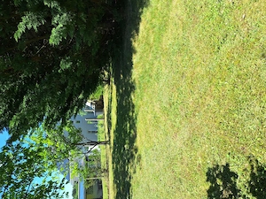 Einfamilienhaus in ruhiger Lage Bild 3