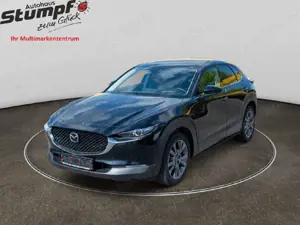 Mazda CX-30 Selection Navi/Kamera/elektr.Heckkl.
