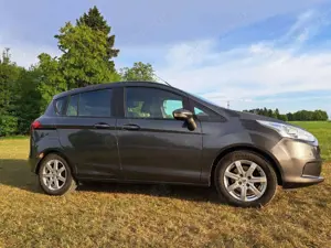 Ford B-Max B-MAX 1.0 EcoBoost Colourline