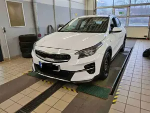 Kia XCeed 1.5 T-GDI DCT7 OPF Vision ACC