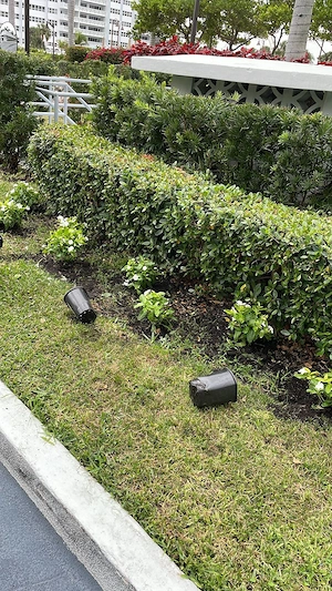 rofessioneller Garten