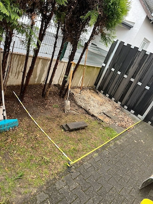 rofessioneller Garten Bild 4