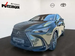 Lexus Others NX 450h+ E-Four, LuxuryPaket, Parkassistent Plus