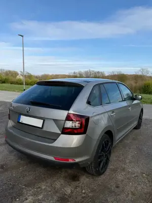 Skoda Rapid/Spaceback Rapid 1.4 TDI (Green tec) DSG Joy Bild 2
