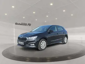 Skoda Fabia 1.0 TSI Active LED PDC SHZ SpurH Winterp.