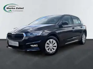 Skoda Fabia 1.0 TSI DSG 110PS Selection LED Winterpaket AppCon