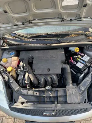 Ford Fiesta Bild 4