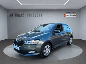 Skoda Fabia Ambition Allwetter/CarPlay/Wenig KM!