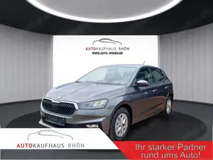 Skoda Fabia Fabia Extra Plus 1.0 TSI DSG, RFK, SHZ, Virtual