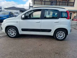 Fiat Panda Lounge