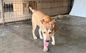 Momo wartet schon auf dich Bild 2