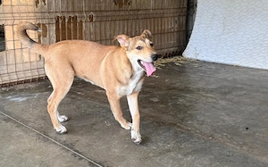 Momo wartet schon auf dich Bild 3