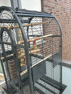 Papageien Vogel Käfig