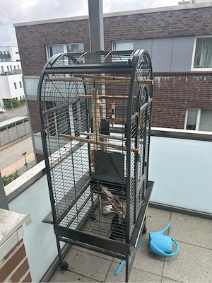 Papagei Vogel Käfig