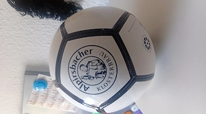Alpirsbacher Ball 