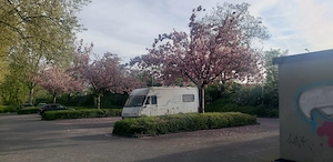 Suche coole Frau für entspannte Wohnmobil-Trips 